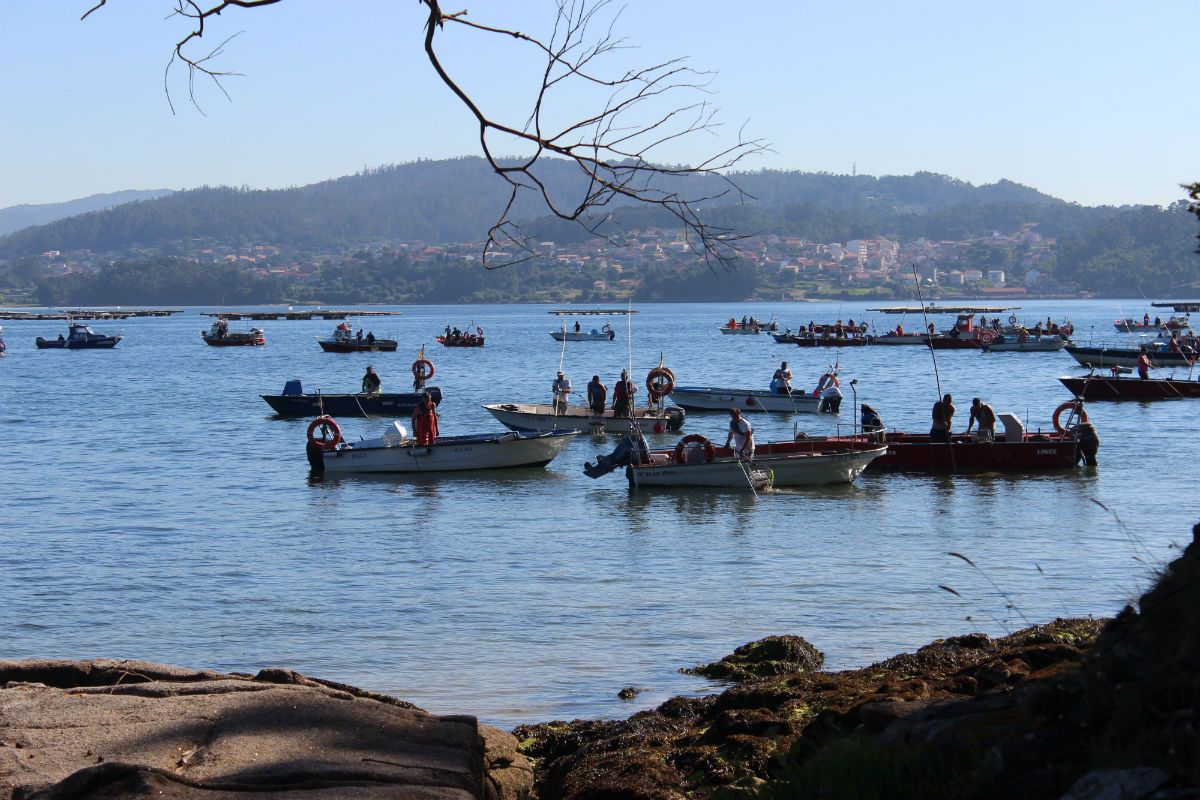 Marisqueo fronte a illa de Tambo