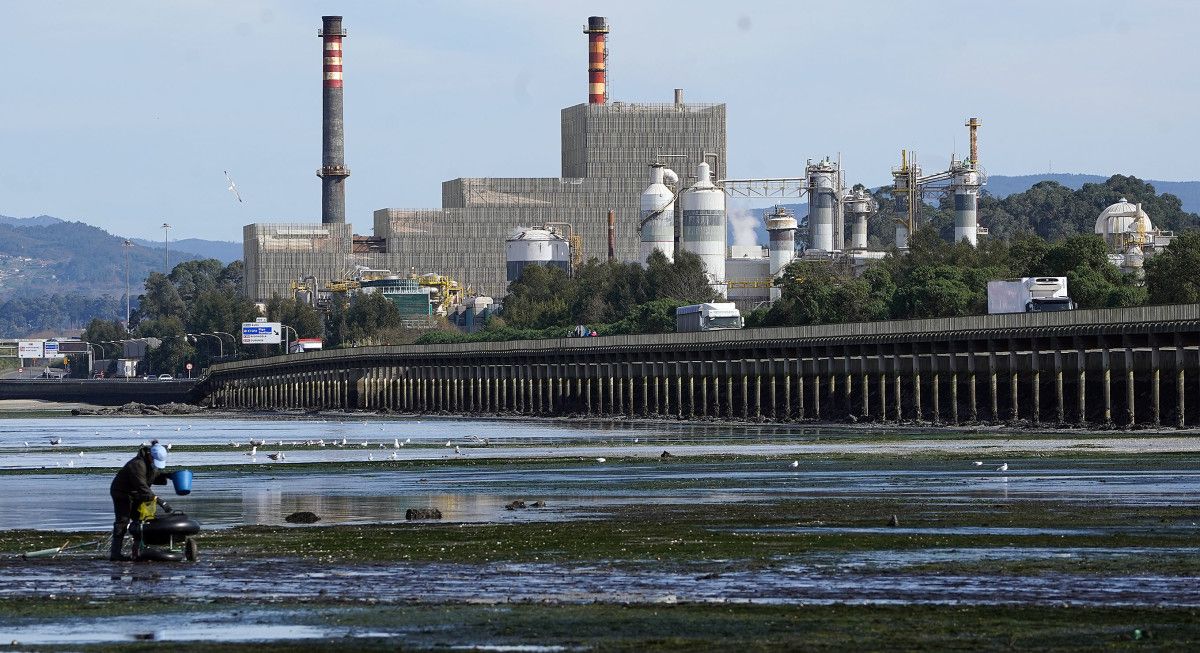 Fábrica de Ence en Lourizán