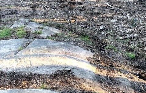 Danos nos petroglifos do parque Monte da Tomba, na parroquia pontevedresa de Campañó