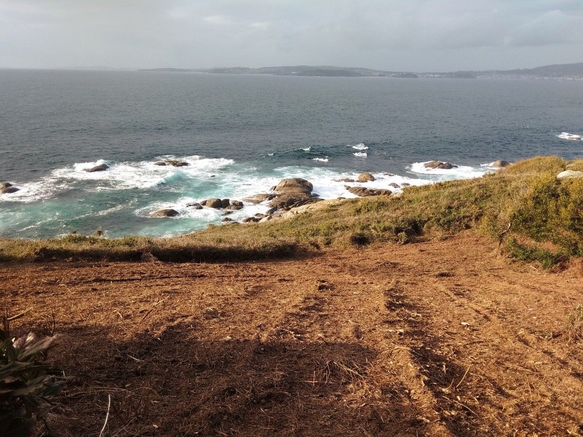 Desbroces realizados en Cabo Udra