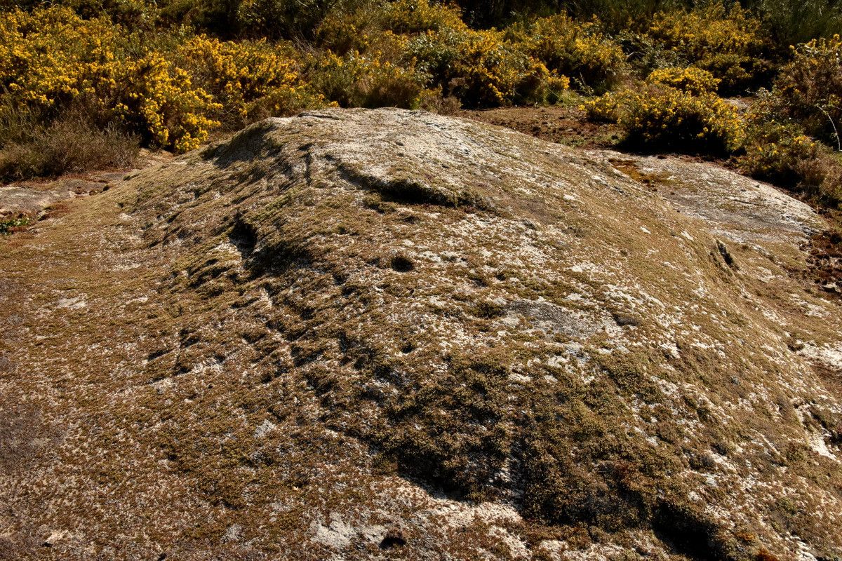 Petroglifo de Daquelcabo, en la parroquia de Pedre, en Cerdedo-Cotobade