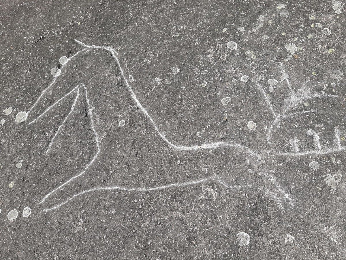 Atentado contra dous petroglifos de Campo Lameiro