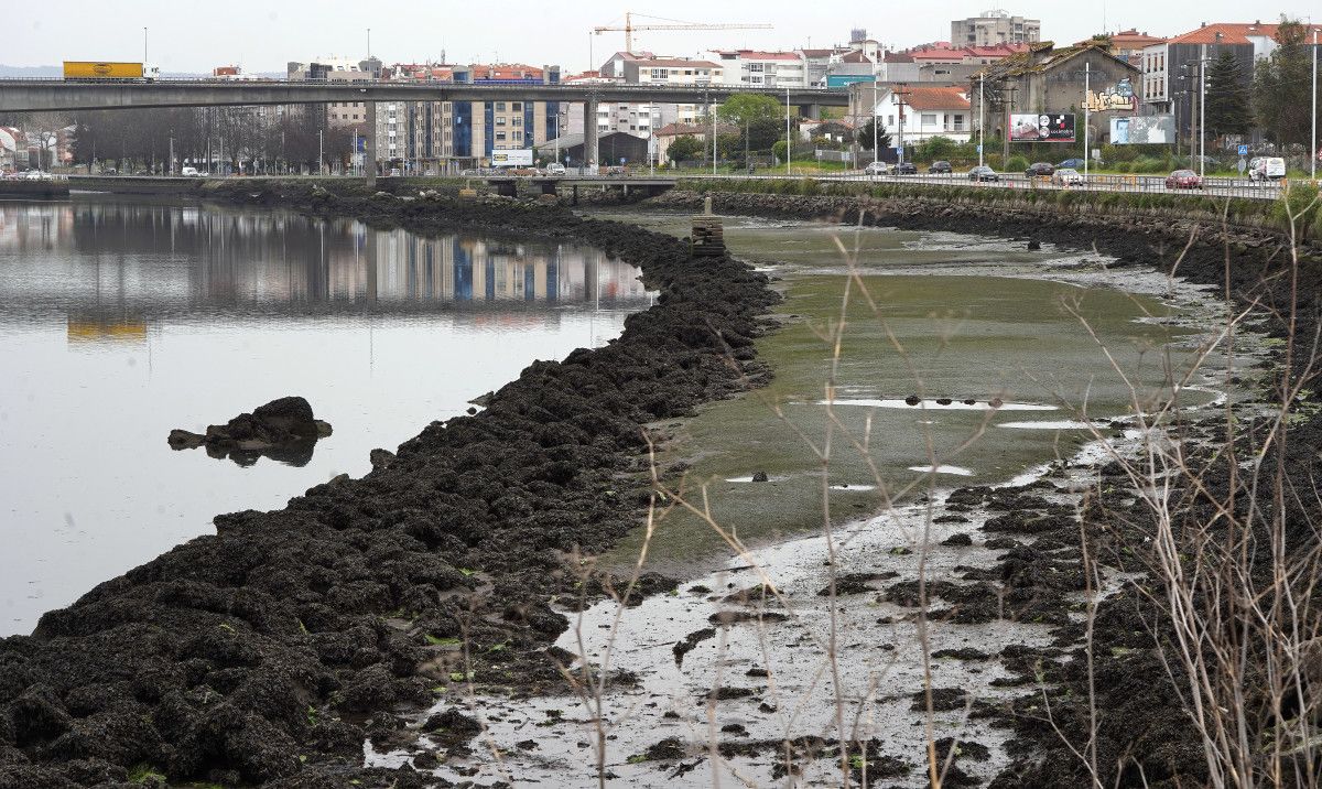  Desembocadura del río Lérez na Ría de Pontevedra