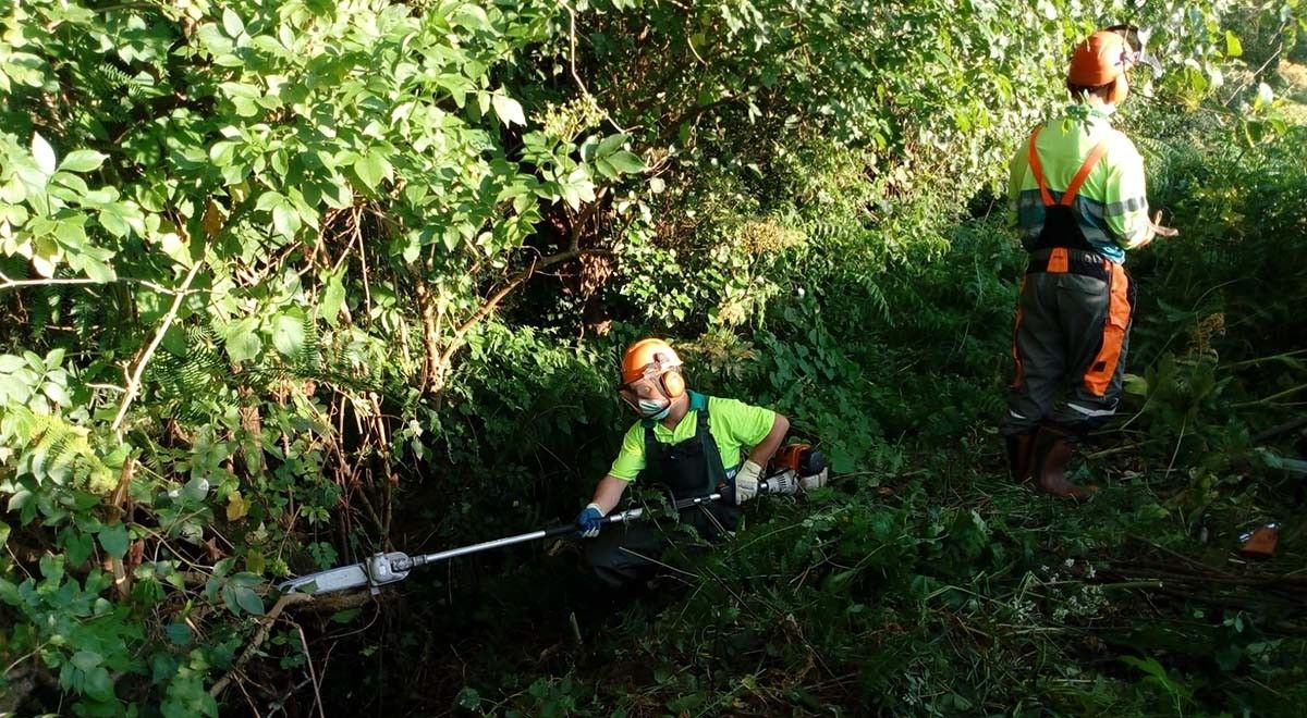 Trabajos de limpieza en el cauce del río de A Gándara