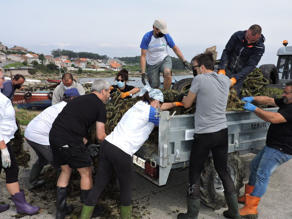 Jornada de limpieza de los fondos marinos en A Illa