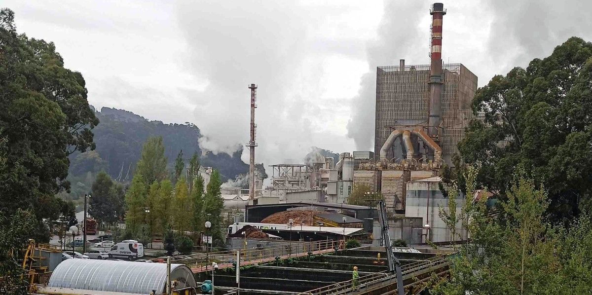 Actividad en la fábrica de Ence en Lourizán