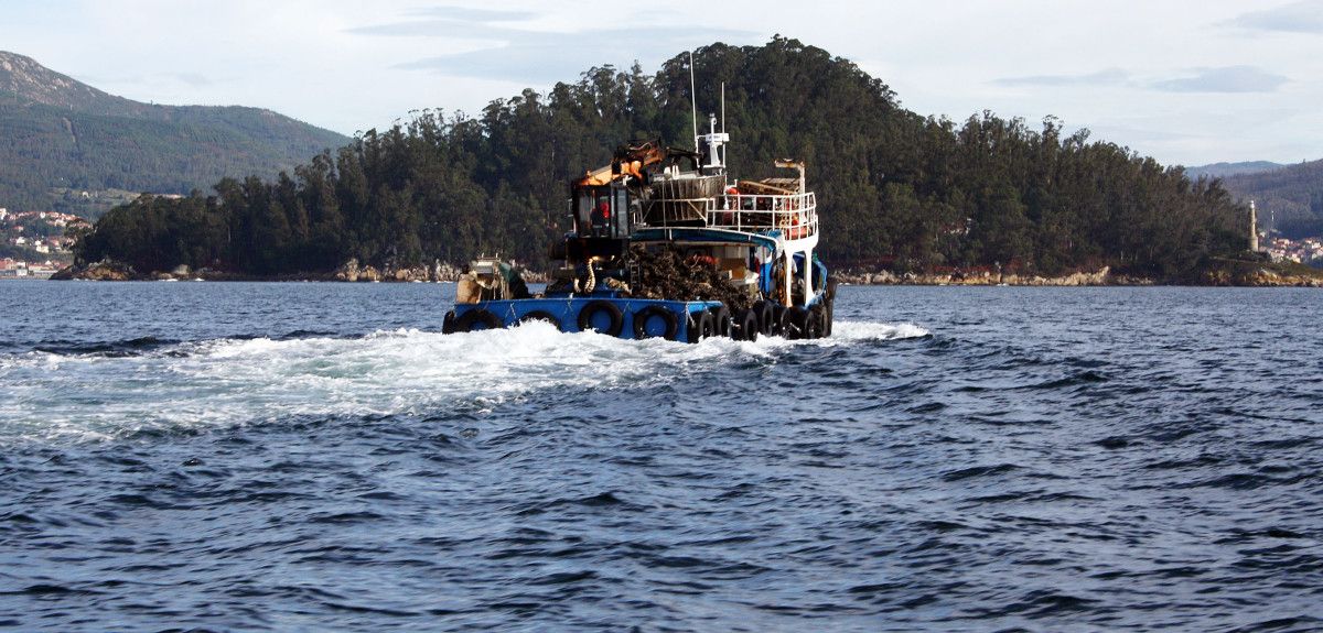 Barco mejillonero en la ría de Pontevedra