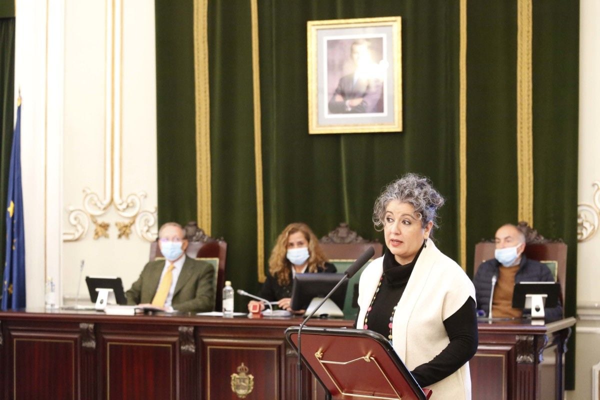 Lectura a cargo de la profesora Silvia Pérez Freire del manifiesto con motivo del 25N en el pleno provincial