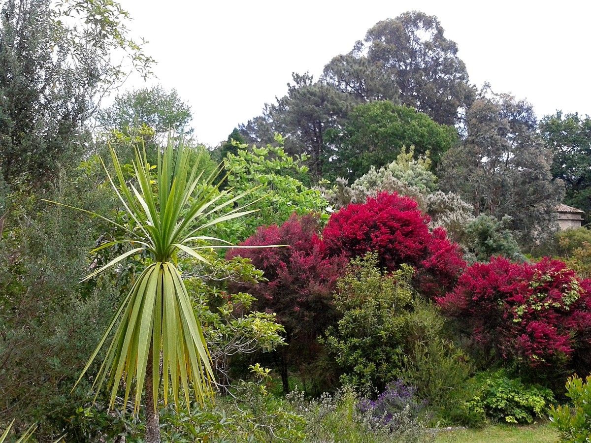 Jardín de la Saleta