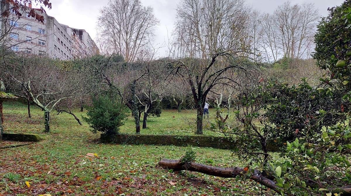 Trabajos de limpieza en los jardines de Santa Clara