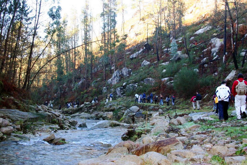 Caminatas de 'Natureza nos Camiños'