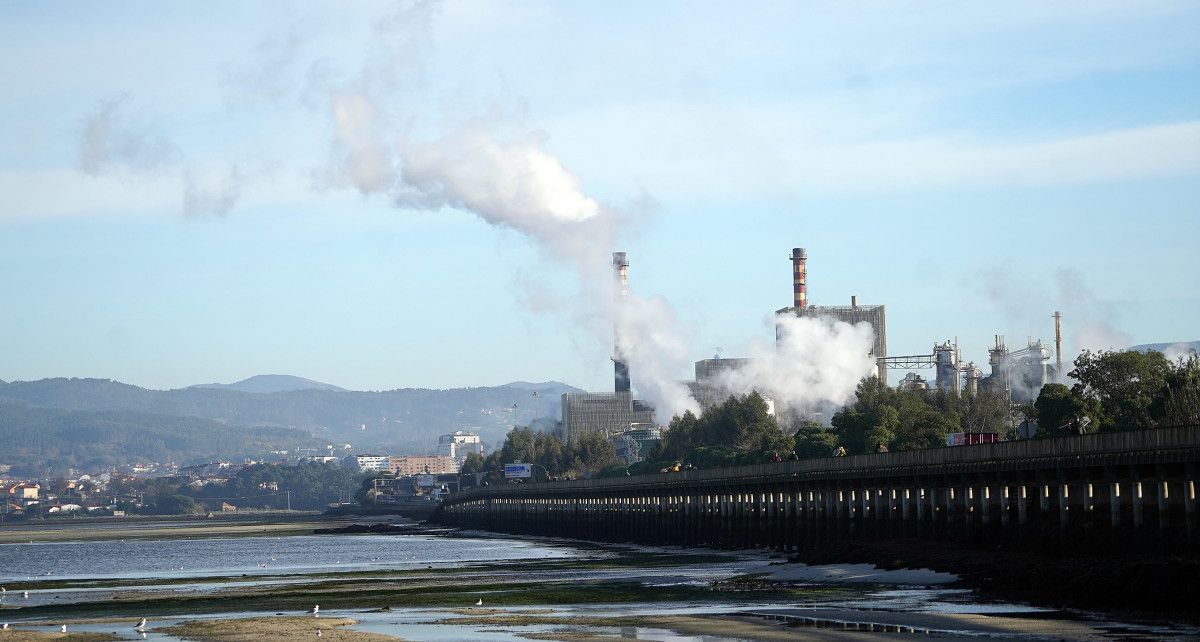 Fábrica de ENCE en Lourizán