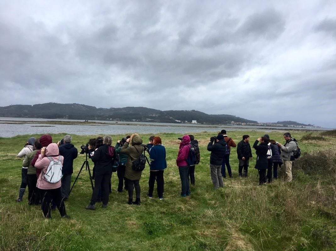 Actividad de "Voando nas Rías Baixas" en el Complejo Intermareal Umia-O Grove