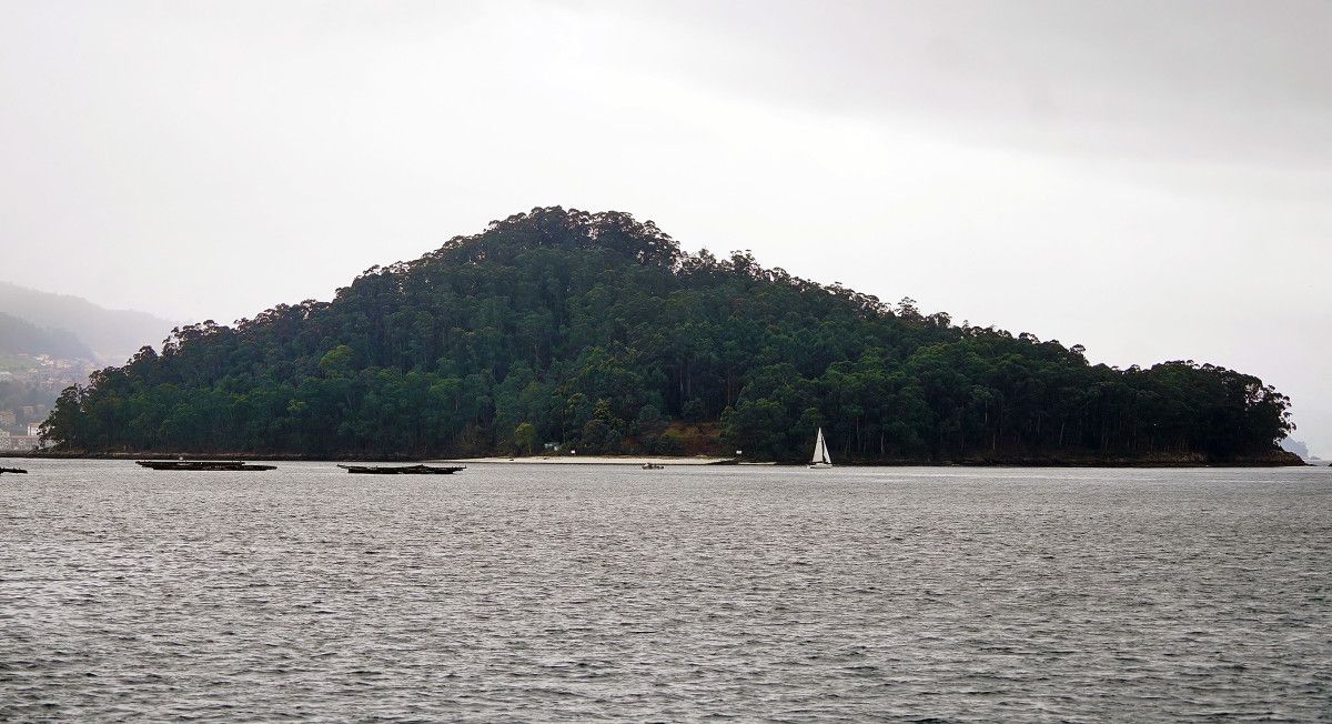 Isla de Tambo