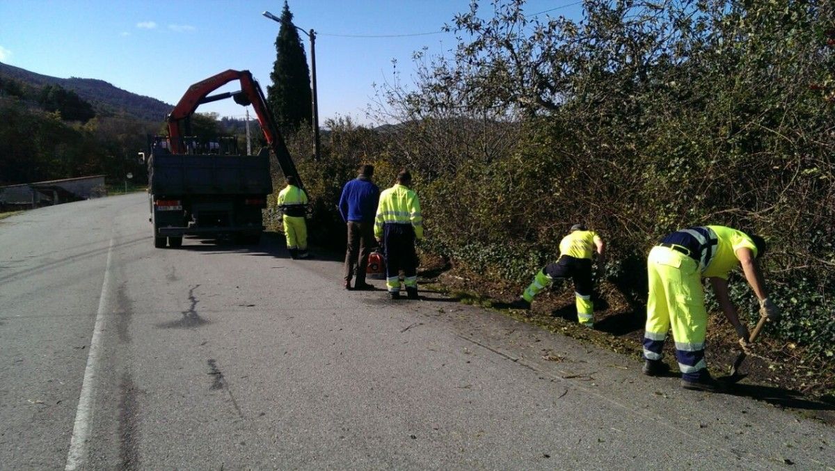 Trabajos de desbroce en Cotobade