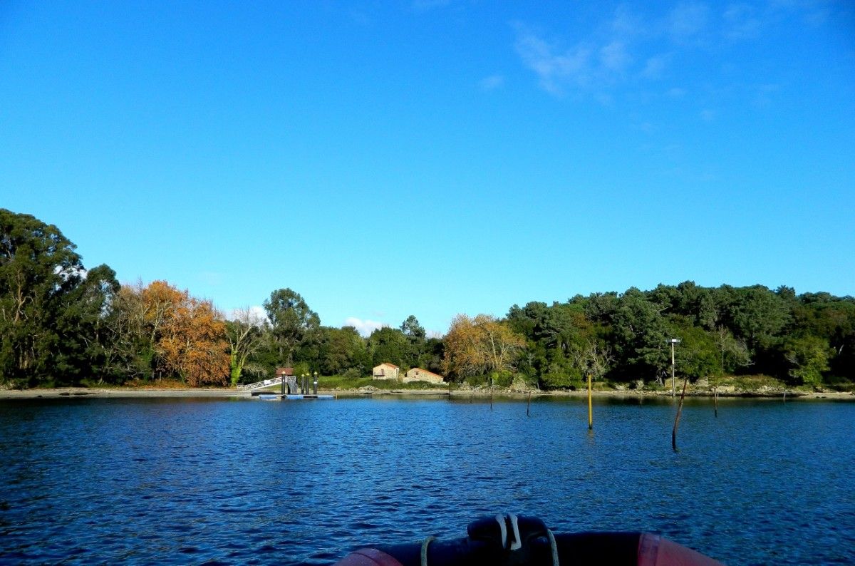 Isla de Cortegada