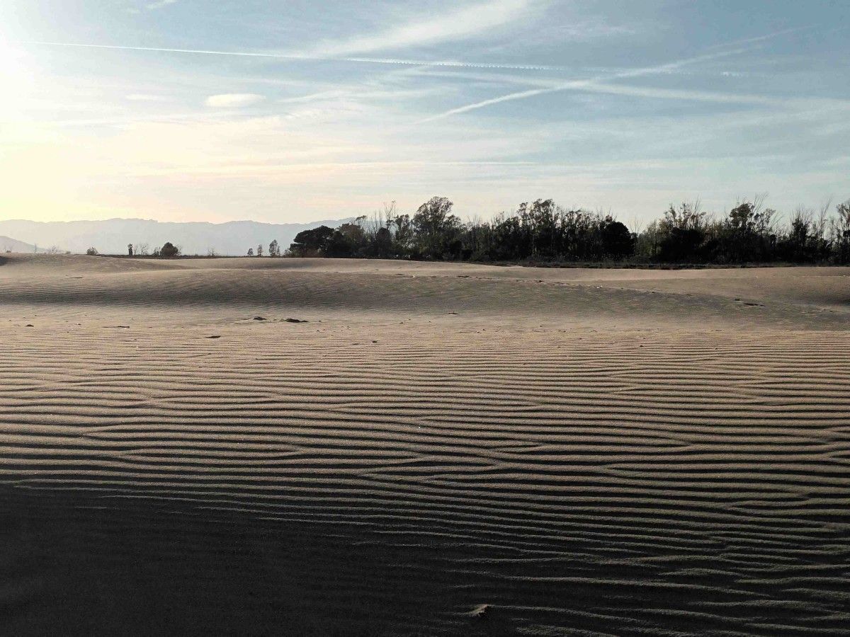 Dunas móbilers da praia de Eucaliptus