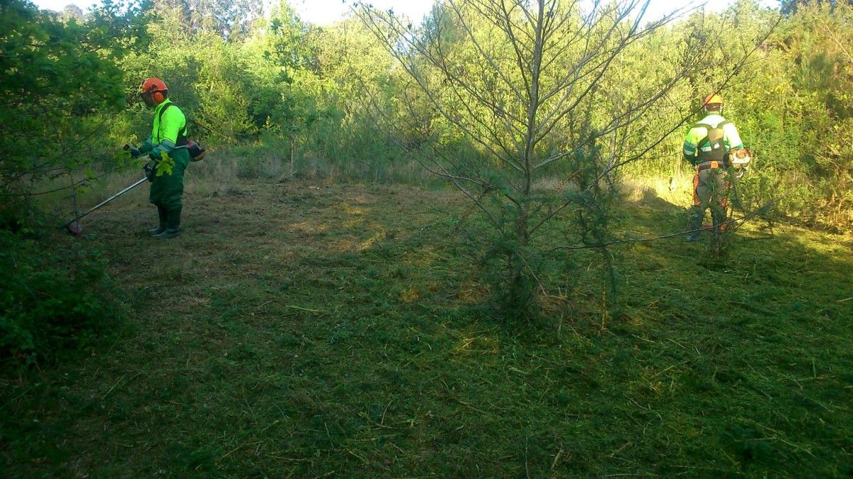 Acometen trabajos de limpieza en el perímetro del embalse del Umia