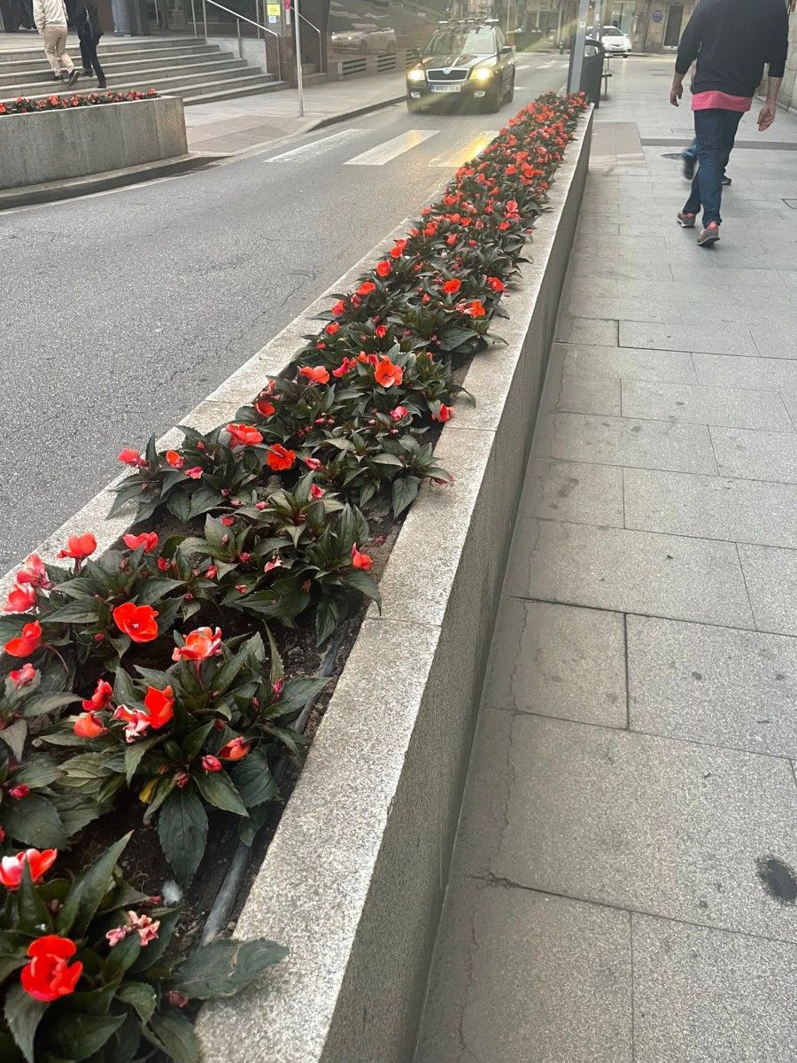 Jardineras de las principales calles de Marín