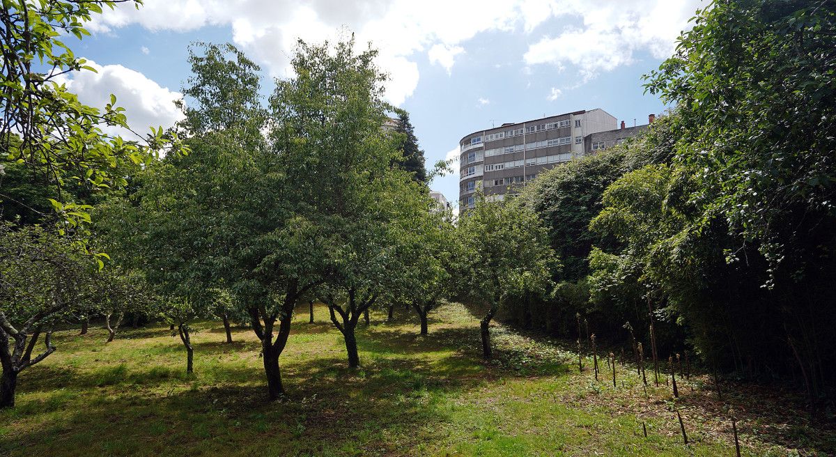 Jardines de Santa Clara