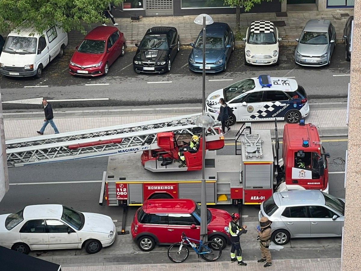 Intervención de los Bomberos ante la presencia de avispas velutinas en la Avenida da Estación