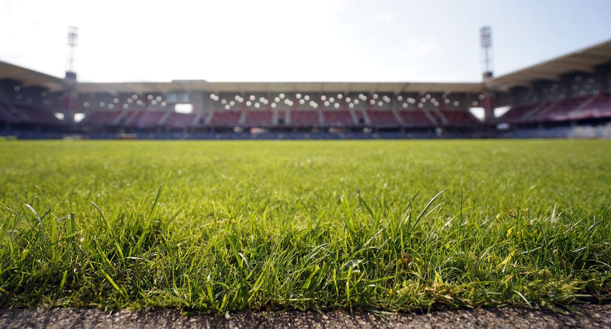 Césped del Estadio Municipal de Pasarón