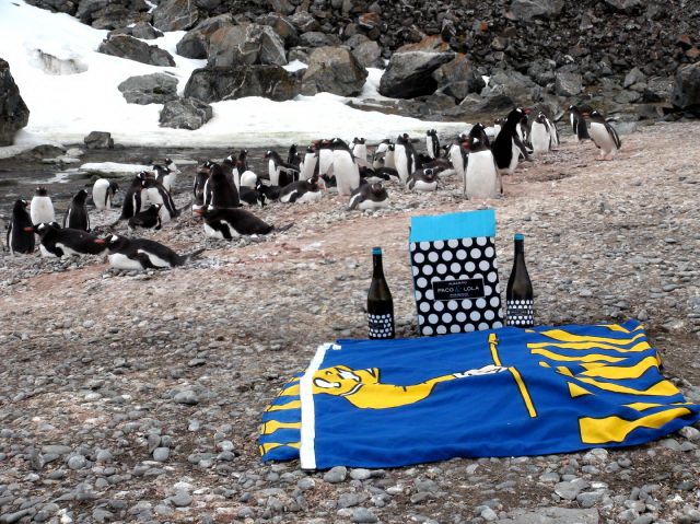 La bandera de Sanxenxo ya ondea en la Antártida