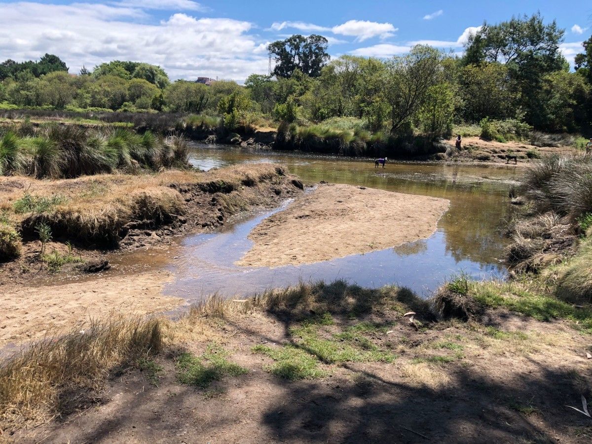 Situación del río en la zona de A Xunqueira este lunes 25 de julio	