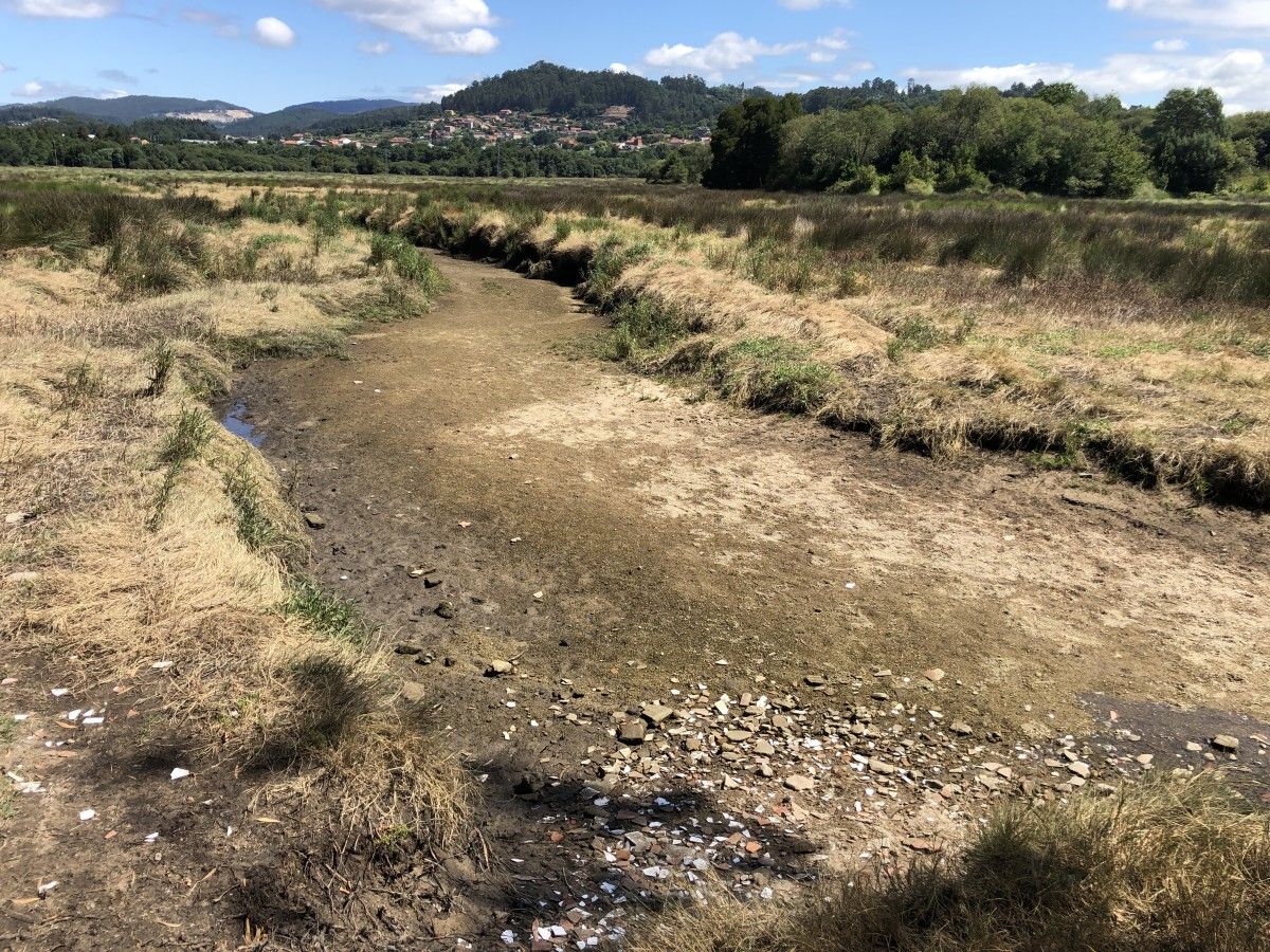 Situación del río en la zona de A Xunqueira este lunes 25 de julio