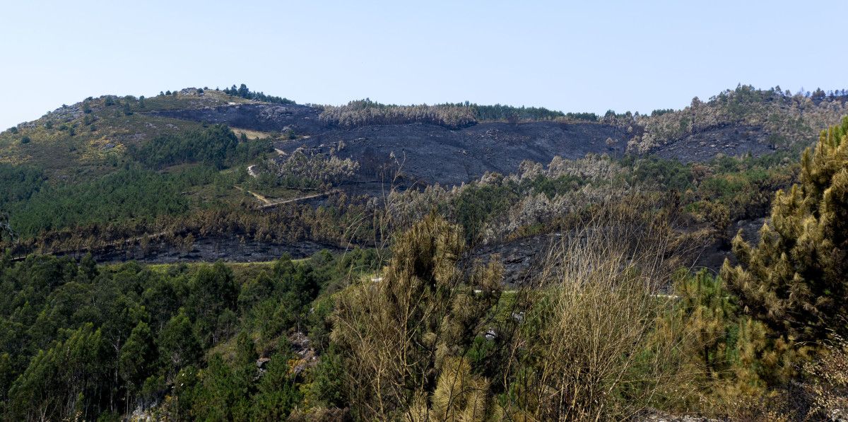 Zona afectada por el incendio de A Fracha