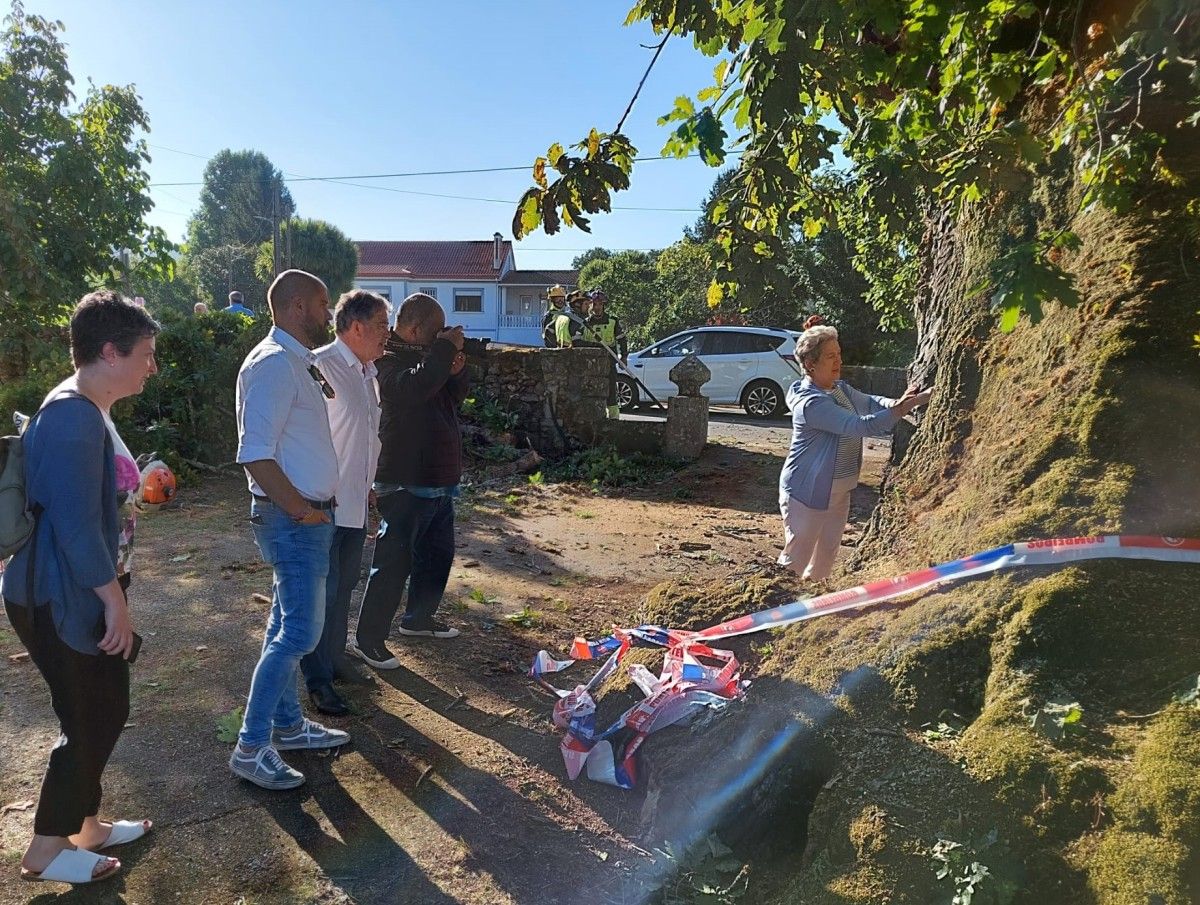 El alcalde Miguel Anxo Fernández Lores y miembros del gobierno local supervisan la poda de urgencia del carballo de Santa Margarida