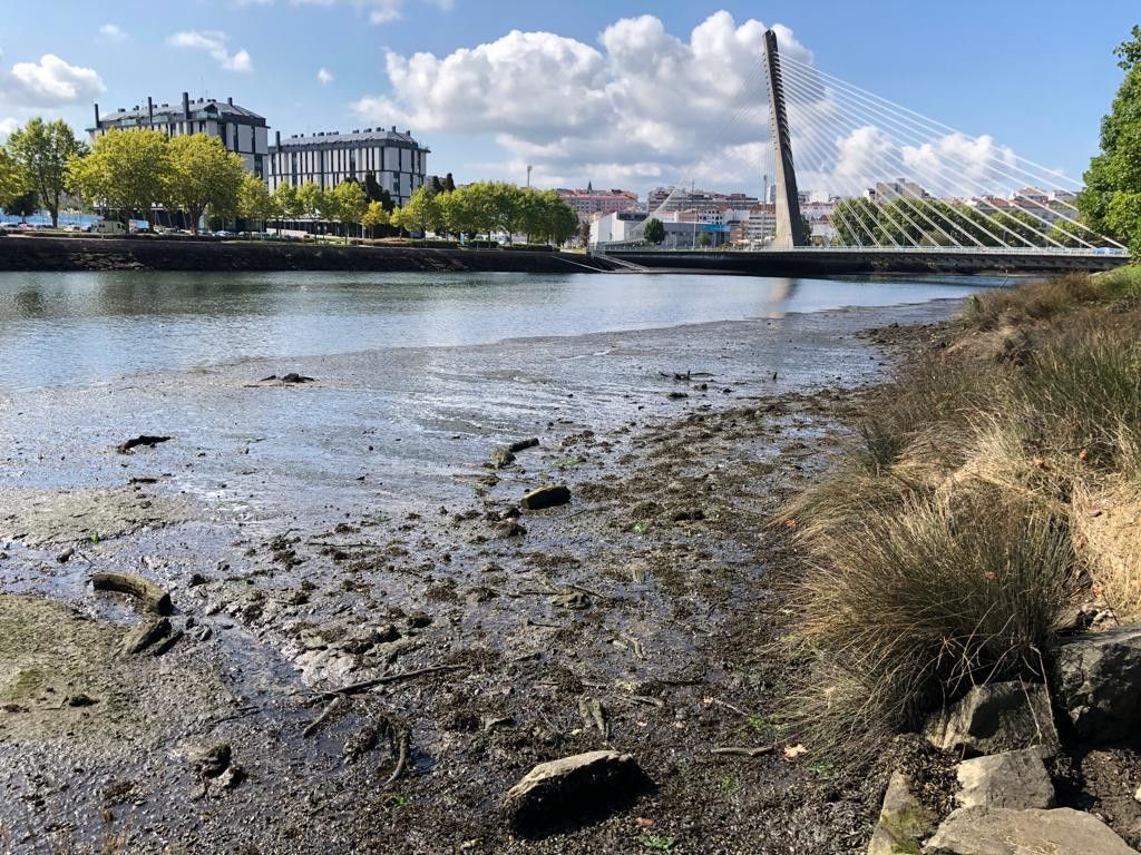 Río Lérez a la altura del puente de los Tirantes