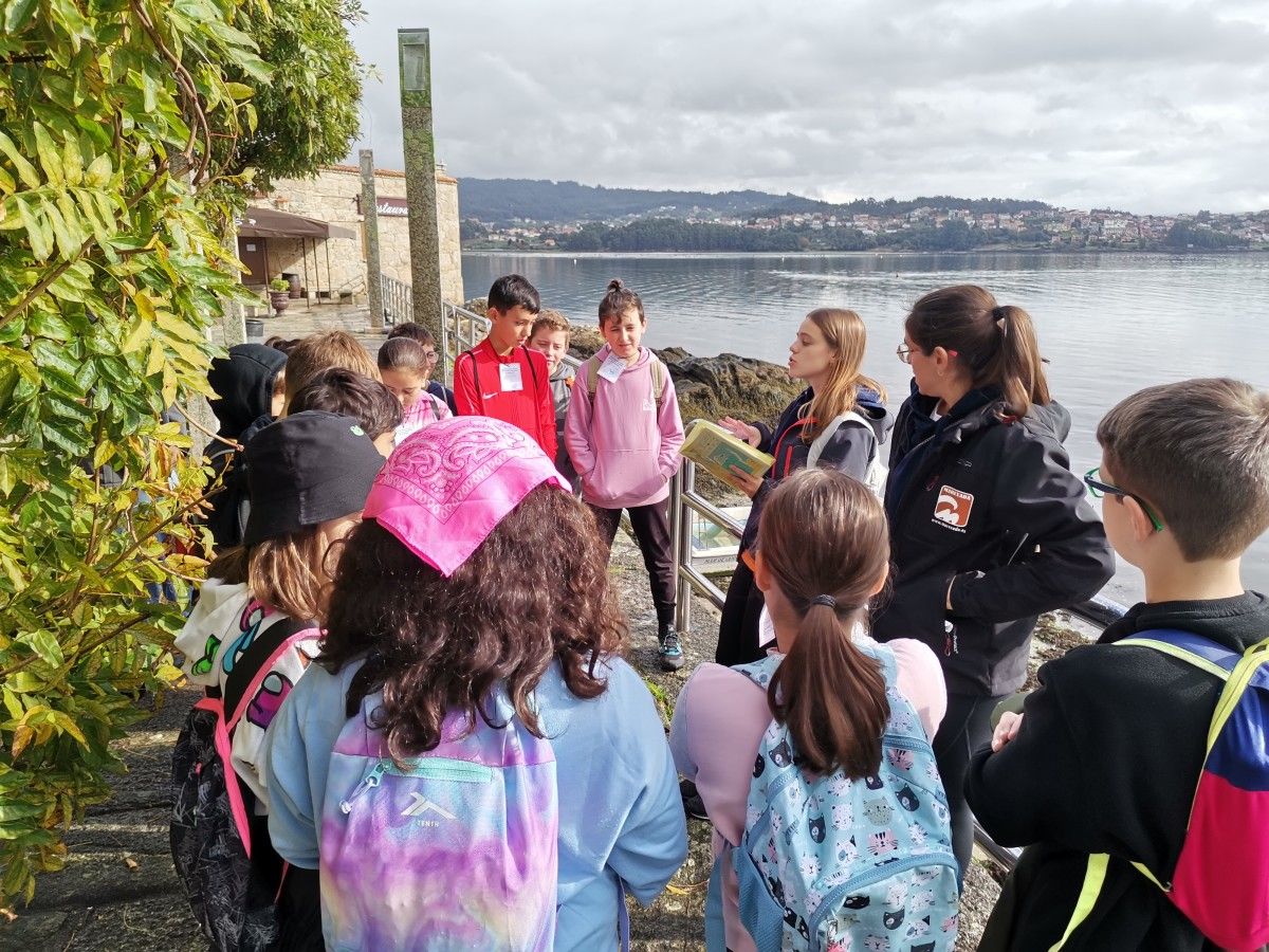 Escolares del colegio de Chancelas que participan en el City Chase de Combarro