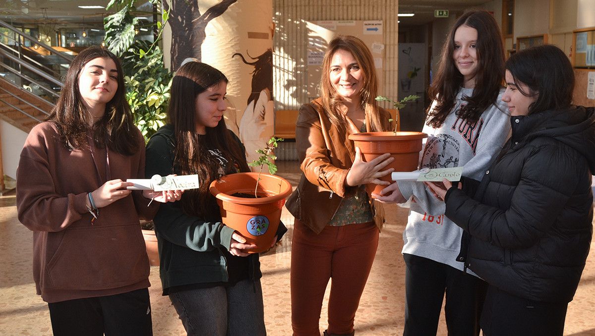 Los 'hijos' del carballo de Santa Margarida que crecerán en el campus