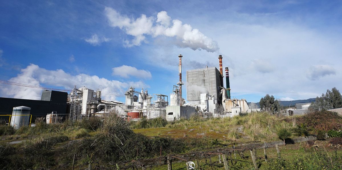 Fábrica de ENCE en Lourizán