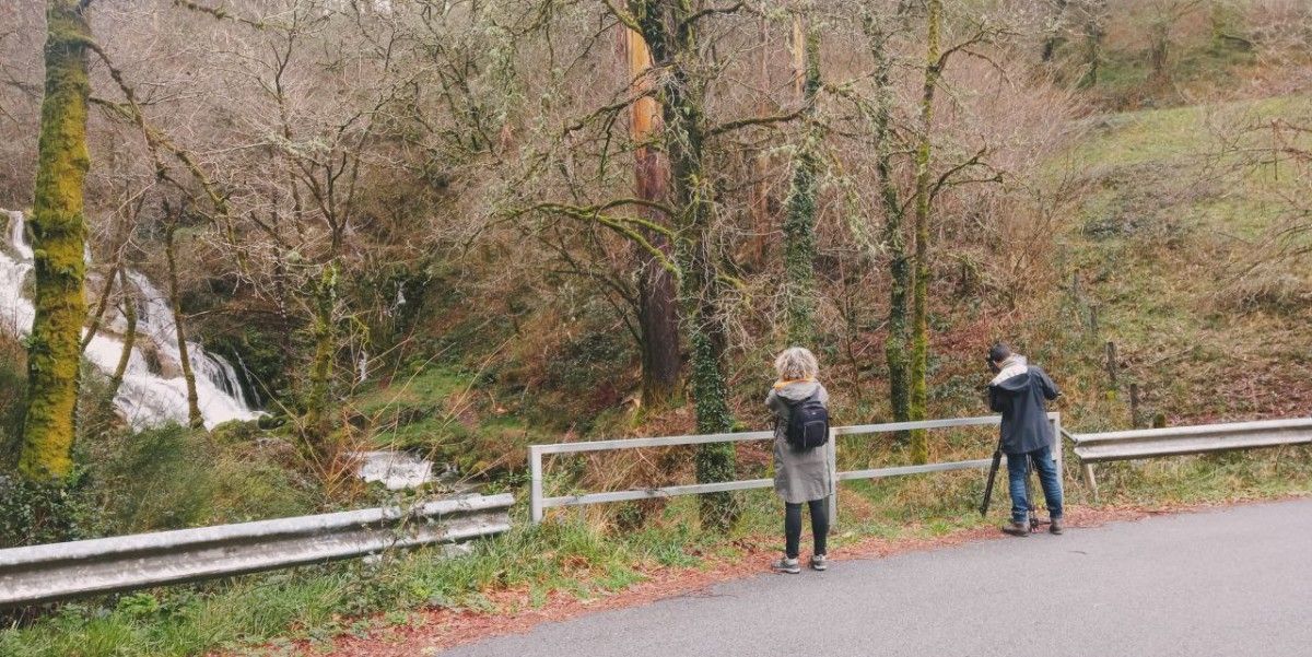 Zona afectada por uno de los parques eólicos