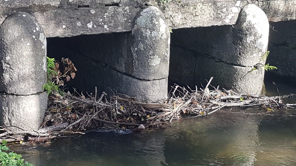 Vaipolorío retira ramaje en los puentes y hace mantenimiento del sendero en el tramo rural del río Tomeza