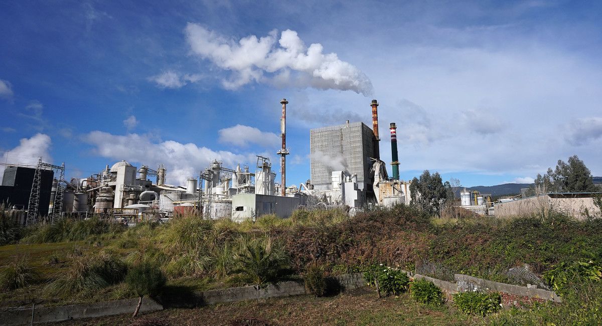 Fábrica de Ence en Lourizán