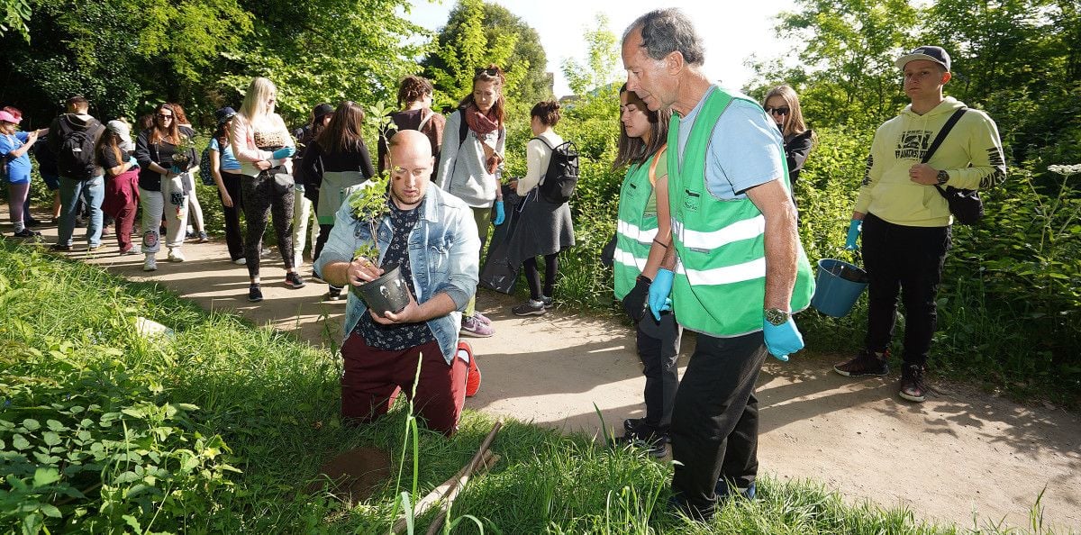 Voluntariado europeo planta saúcos en la ribera del río Gafos