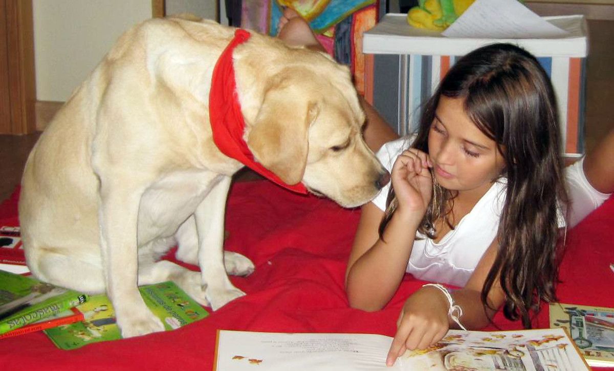 Programa de lectura con perros