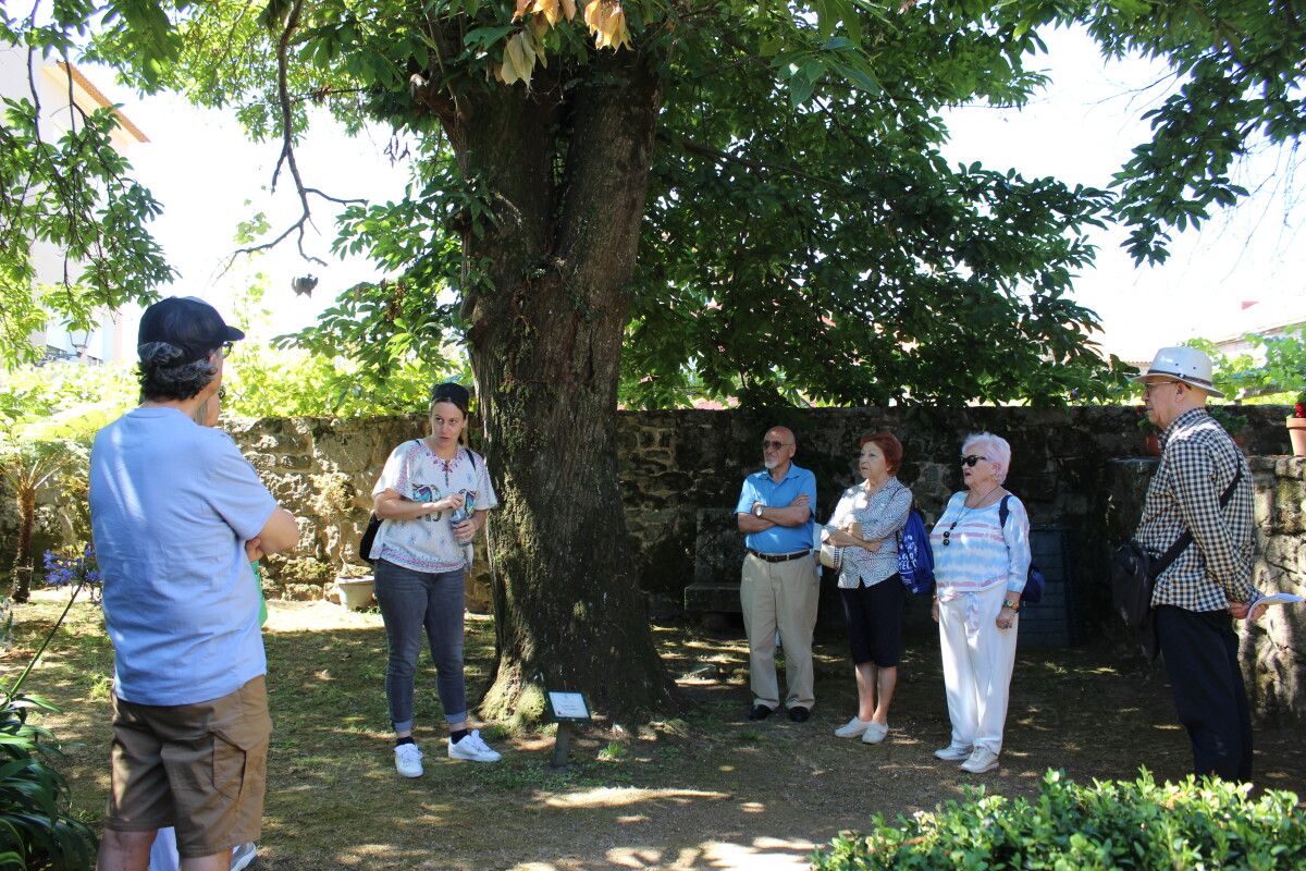 Visita guiada dentro de las actividades del Festival de Teatro Festivalle