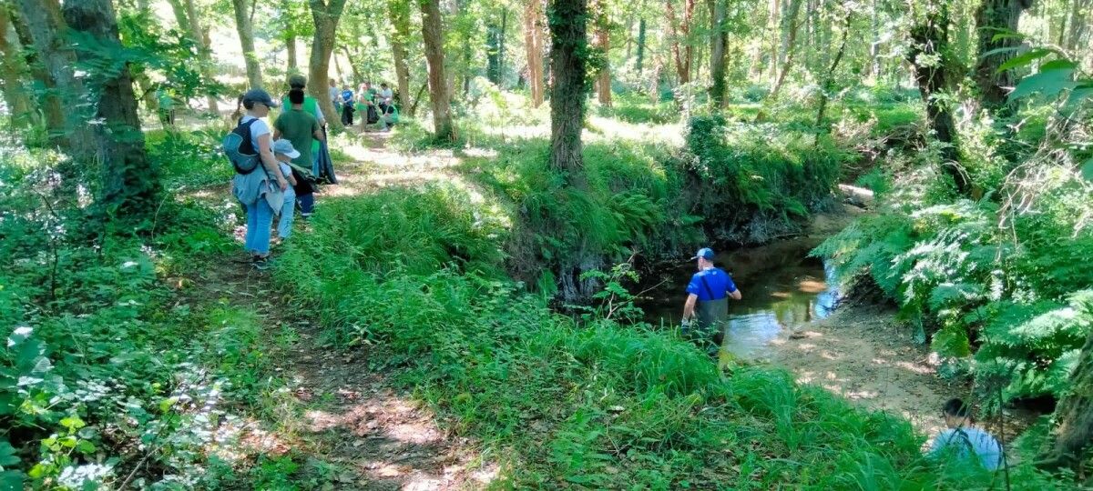 Personas voluntarias de Vaipolorío limpiando el río Gafos