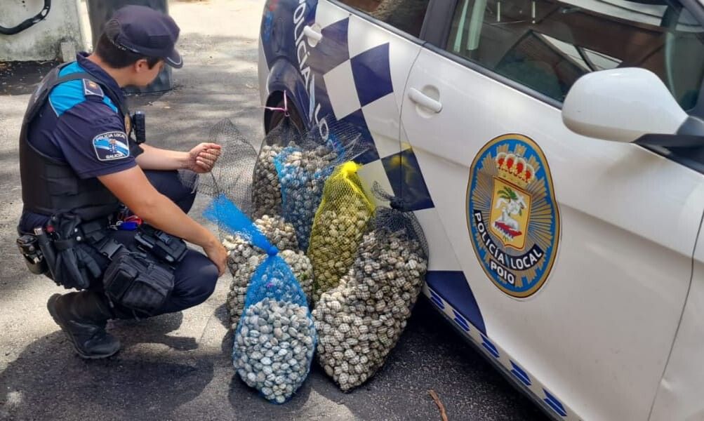 Almejas confiscadas a los furtivos