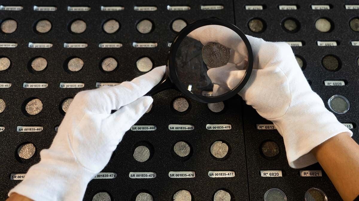 Experto en numismática