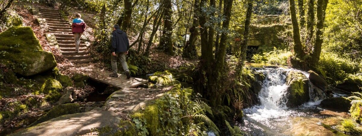 Camino de Armenteira