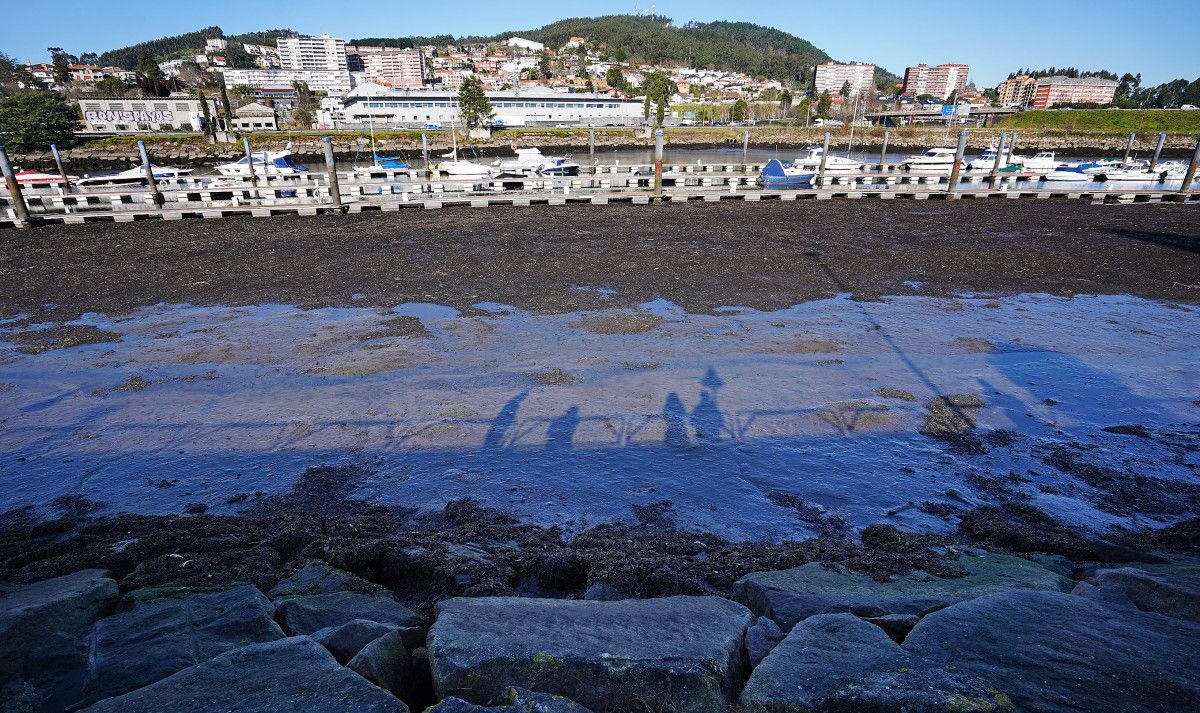 Lodo en el río Lérez con marea baja