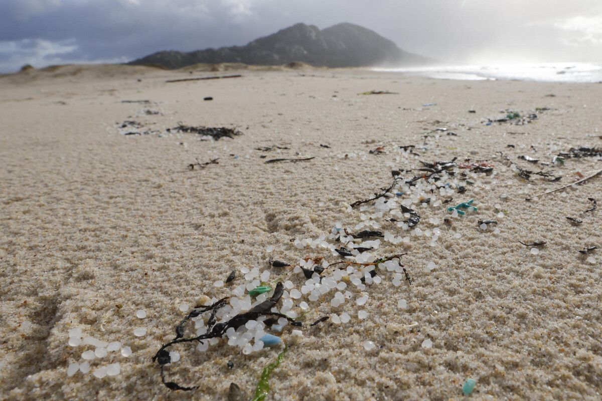 Bolas de microplástico en la playa