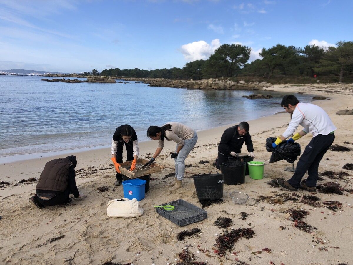 Voluntarios limpiando la playa