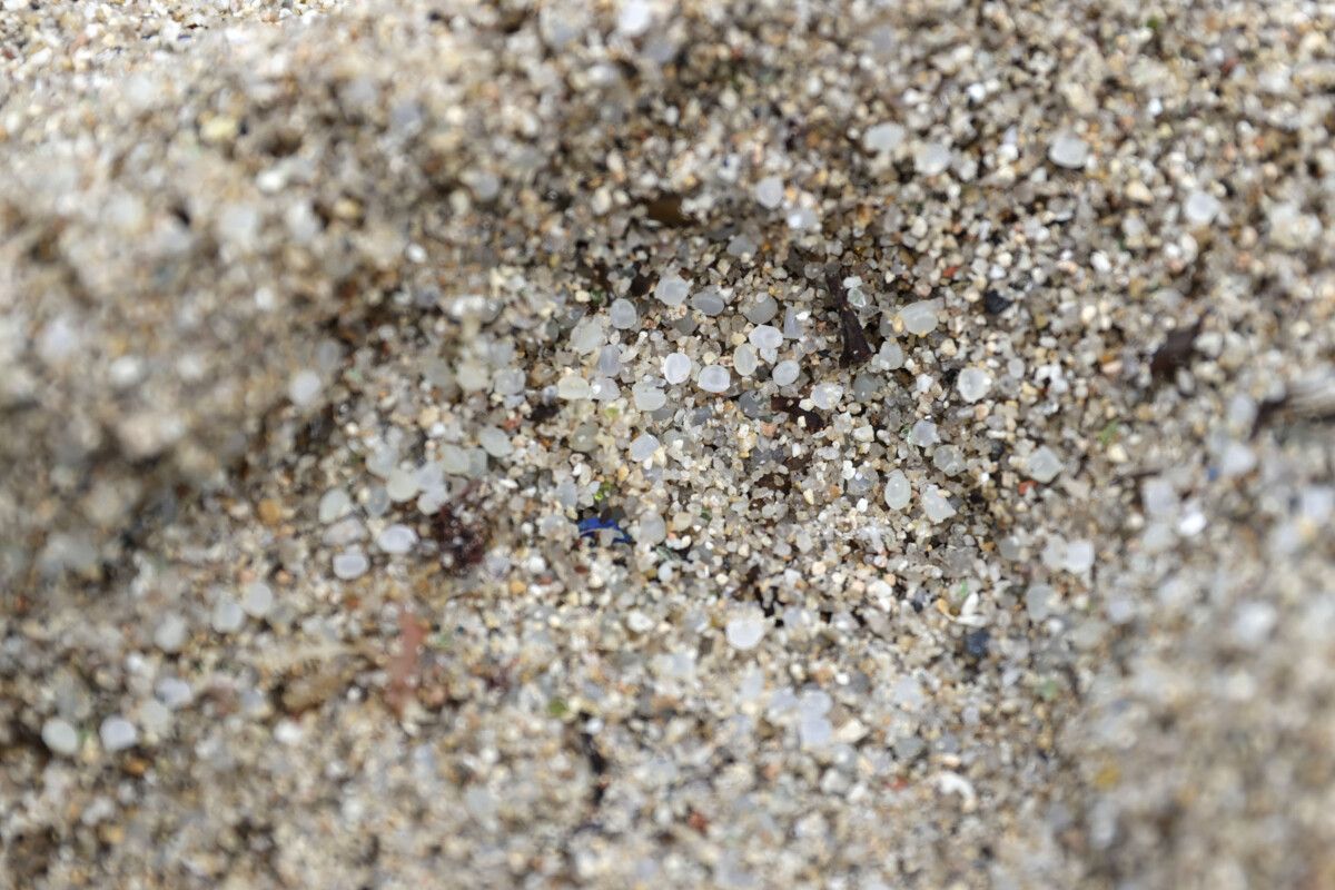 Pellets de plástico aparecidos en las playas gallegas