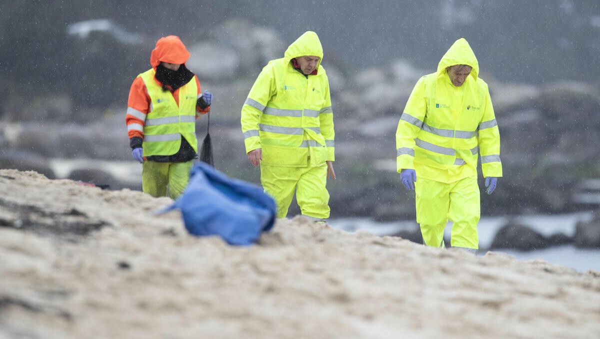 Tareas de búsqueda de pellets en la playa de Mexilloeira, en O Grove